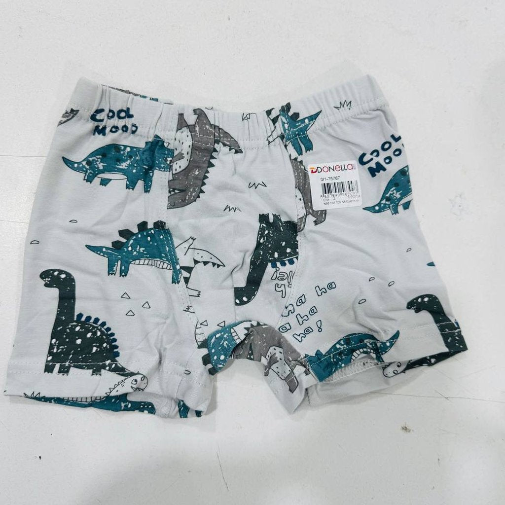 Fun Dinosaur Print Boxers