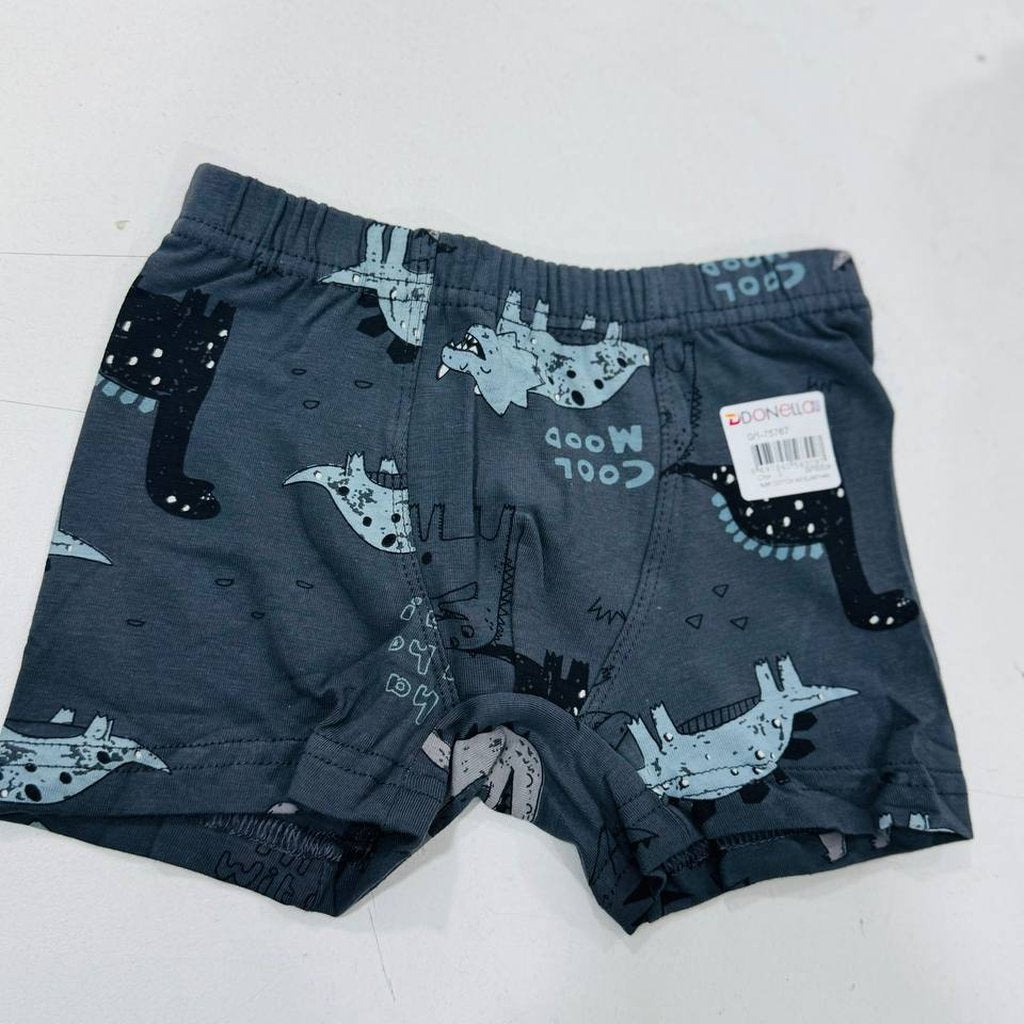 Fun Dinosaur Print Boxers