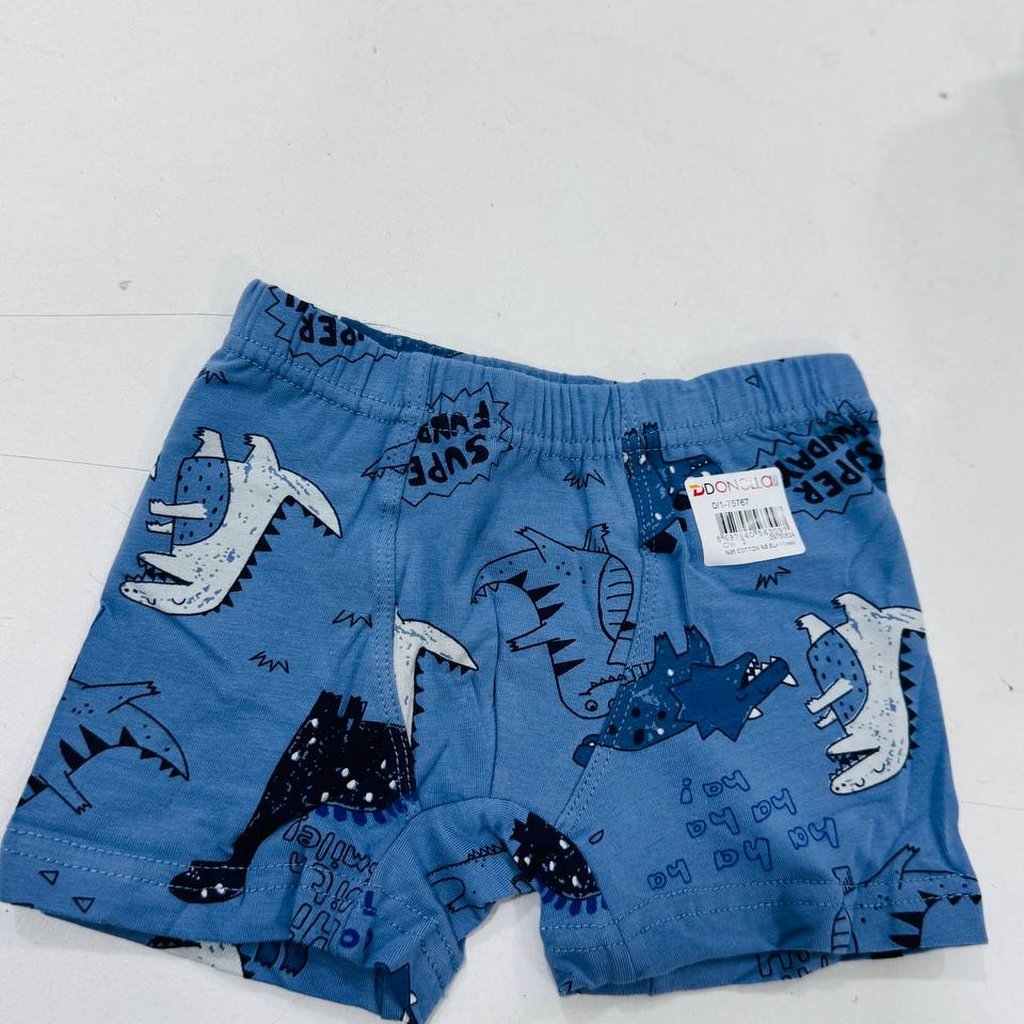 Fun Dinosaur Print Boxers
