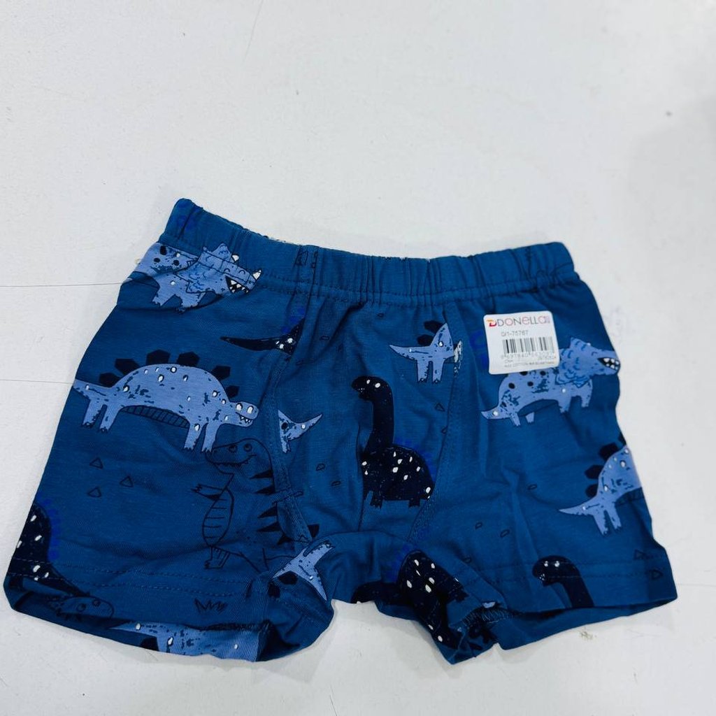 Fun Dinosaur Print Boxers