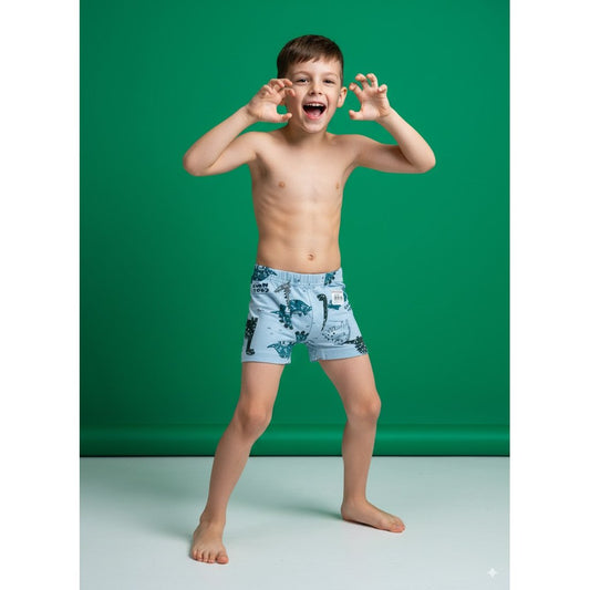 Fun Dinosaur Print Boxers